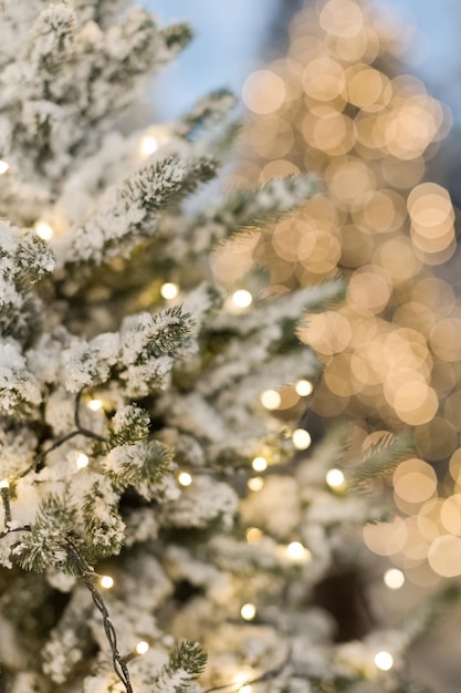 Árvores de Natal com luzes e neve