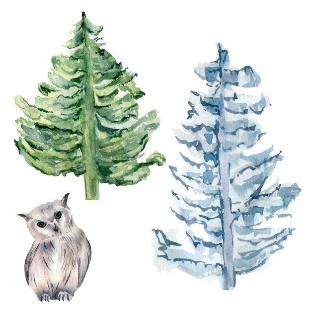 Árvores de Natal e ilustração de aquarela de coruja isoladas em branco