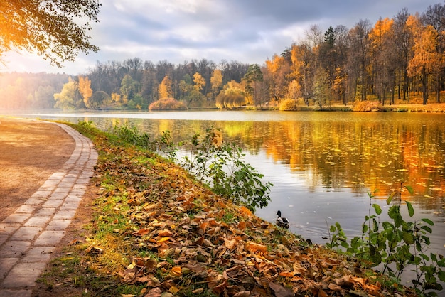 Árvores de outono e uma ilha no parque Tsaritsyno em Moscou