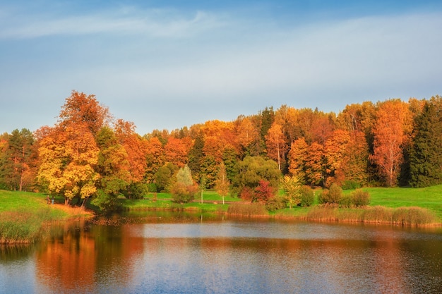 Árvores de outono na margem do lago. Paisagem panorâmica de outono com árvores vermelhas. Pavlovsk. Rússia.