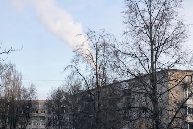 Árvores desencapadas e chaminé do edifício residencial com fumo
