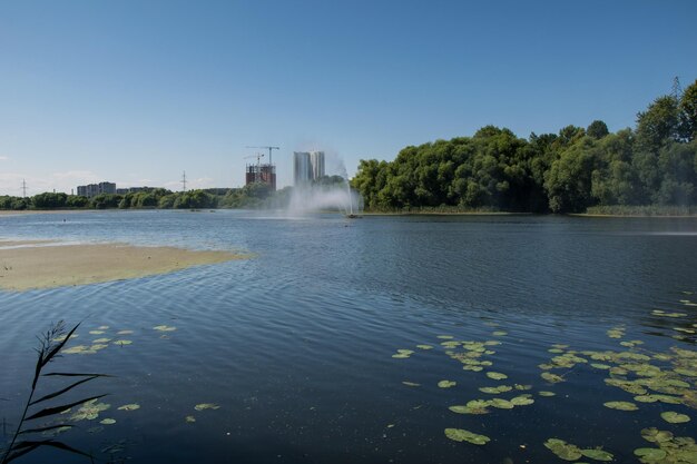 Árvores e arbustos ao longo de uma lagoa ou rio Vista da margem oposta da costa do rio com vista da cidade Ulyanovsk