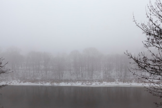 Árvores e clima frio de inverno após a queda de neve, montes de neve e árvores no inverno, montes de neve profunda e árvores após a última queda de neve