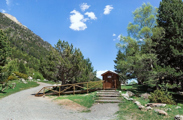 Árvores e estrada nas montanhas dos Pirenéus, Espanha