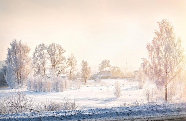 Árvores e uma casa na geada de neve branca na região de Moscou em uma noite ensolarada de inverno