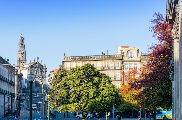 Árvores em meio a edifícios na cidade contra o céu azul claro