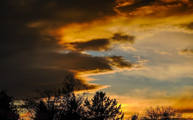 Árvores escuras e nuvens coloridas ao pôr do sol no inverno