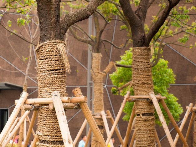 Árvores frescas plantadas na EXPO 2010 em Xangai, China.