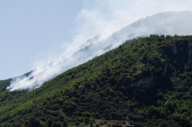 Árvores furiosas disparam através da montanha em Sant'Antonio Abate Campania, Itália