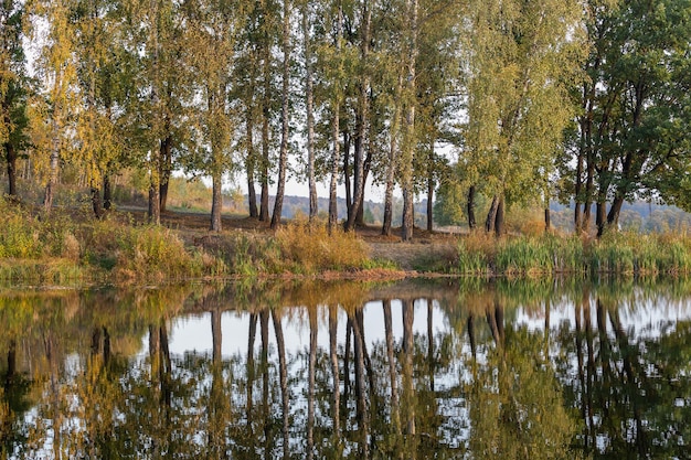 Árvores matinais outonais na pequena margem do lago com reflexos na superfície da água parada