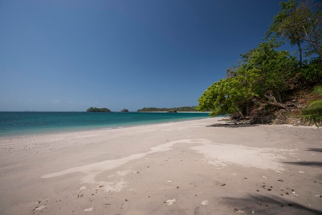 Árvores na praia tropical sob céu azul, arquipélago da ilha Pearl, Panamá, América Central