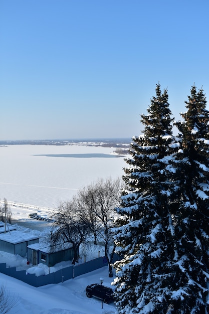 Árvores nas margens do Volga no inverno