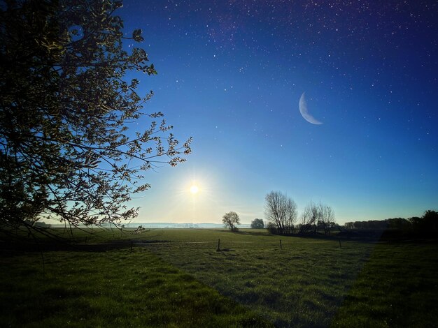 Árvores no campo contra o céu à noite