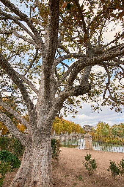 Árvores no jardim do Parterre no outono