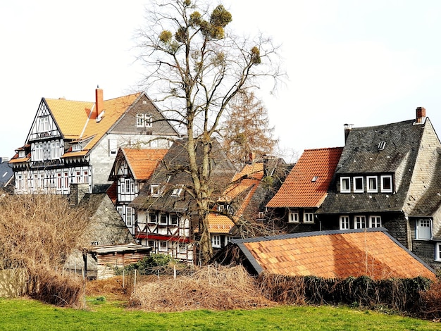 Árvores nuas e casas de madeira no campo em goslar