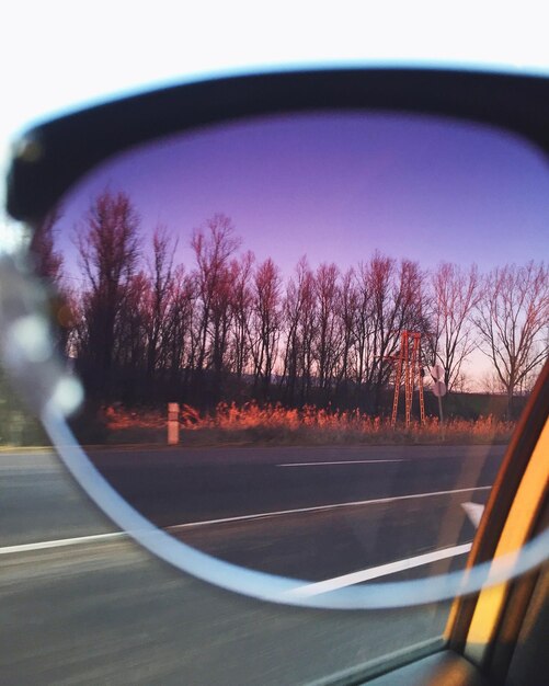 Árvores nuas na estrada vistas através de óculos de sol no carro