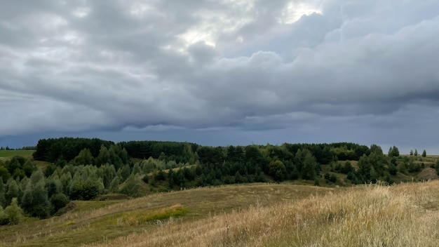 Árvores secas na floresta morta contra o céu noturno com estrelas