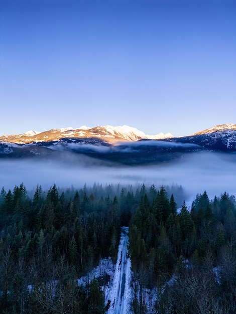 Árvores verdes na floresta com neblina e montanhas Sunrise Canadian Nature Landscape Background