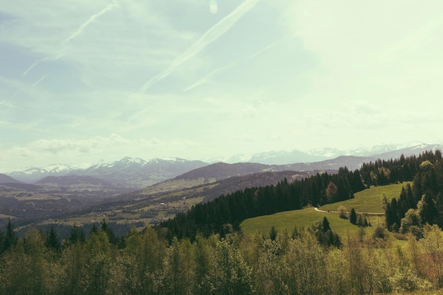 Árvores verdes na montanha sob nuvens brancas Foto