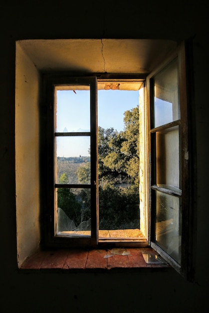 Árvores vistas através da janela de uma casa abandonada