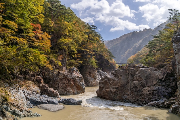 Ryuyo-Schluchtschlucht Nikko Japan