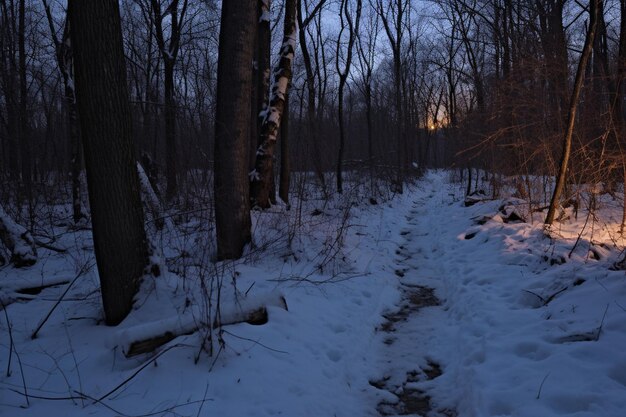 Às noites aconchegantes do inverno, iluminado o caminho coberto de neve