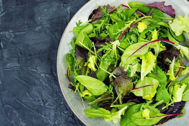 Saborosa salada verde fresca