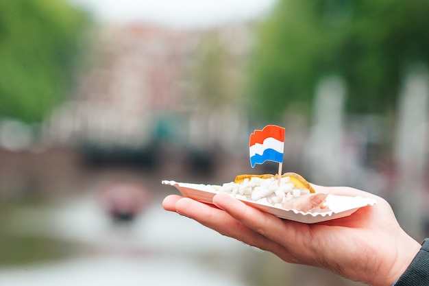 Saboroso arenque fresco com cebola e bandeira da Holanda no fundo do canal de água em amsterdam trad ...