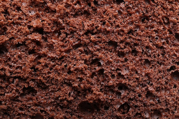 Saboroso pão de ló de chocolate como plano de fundo