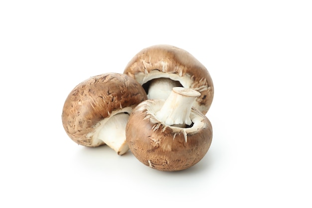 Saborosos cogumelos champignon isolados no fundo branco