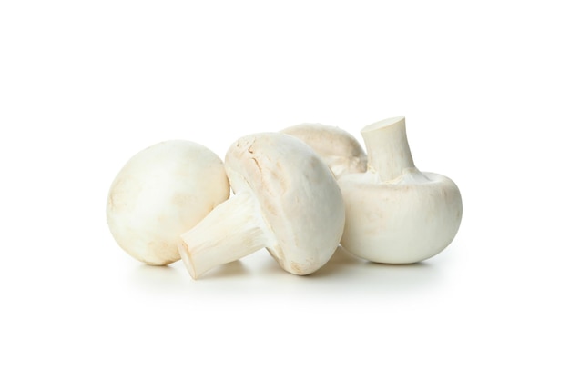 Foto saborosos cogumelos champignon isolados no fundo branco