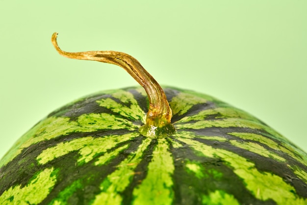 Sabrosa y jugosa sandía con fondo verde cola seca deliciosa fruta de verano para mantenerse hidratado