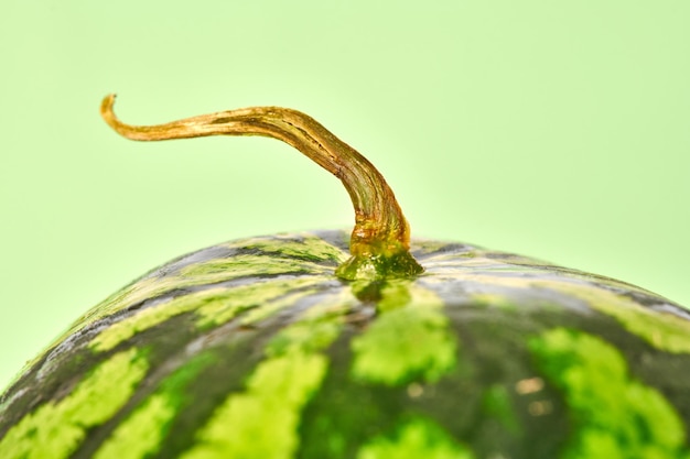 Sabrosa y jugosa sandía con fondo verde cola seca deliciosa fruta de verano para mantenerse hidratado