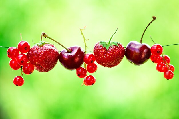 sabrosas frutas de verano