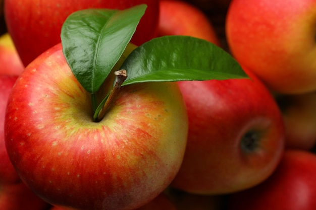 Sabrosas manzanas rojas sobre todo el fondo, primer plano y enfoque selectivo