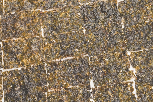 Sabroso alga nori aislado en blanco