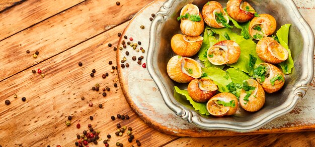 Sabroso, caracoles, en, vendimia, tray., Rellenos, caracoles., Francia, comida