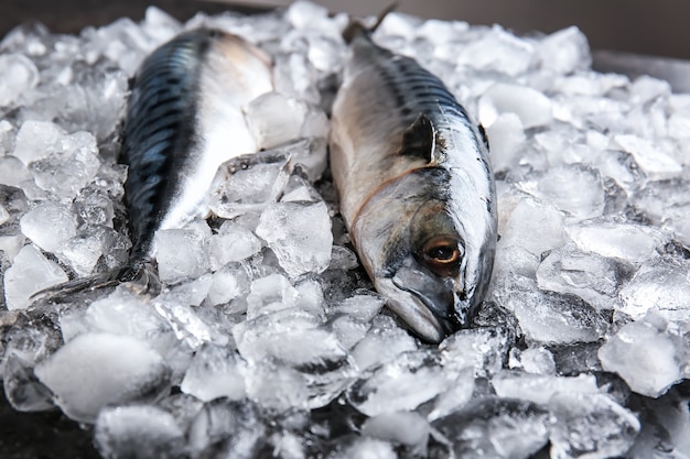 Sabroso pescado crudo caballa sobre hielo