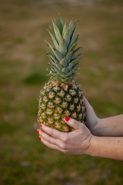 Sabroso piña sosteniendo con las manos con uñas rojas