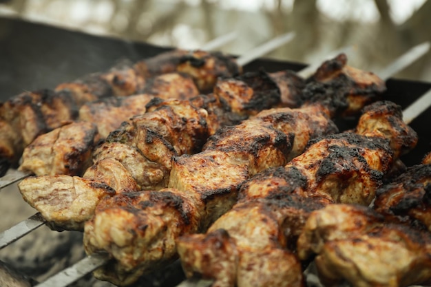 Sabroso shashlik se fríe en carbón al aire libre