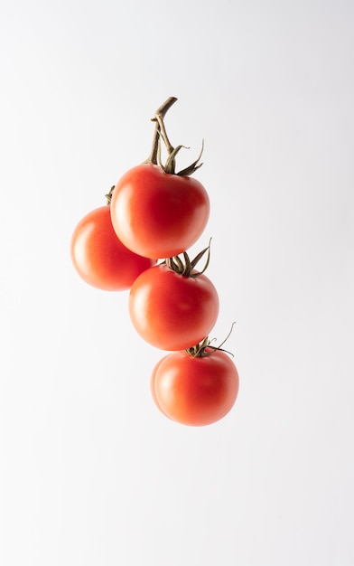 Sabroso tomate en la vid aislado sobre fondo blanco.