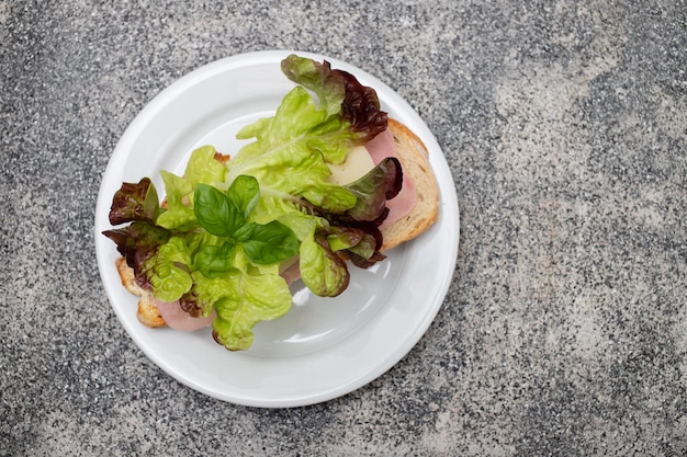 Sabrosos sándwiches tostados con queso en un plato