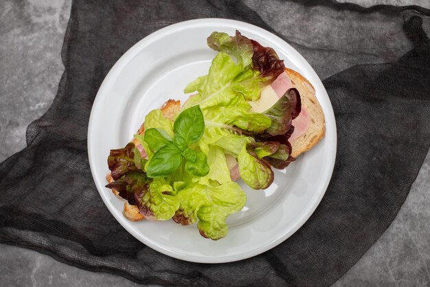 Sabrosos sándwiches tostados con queso en un plato