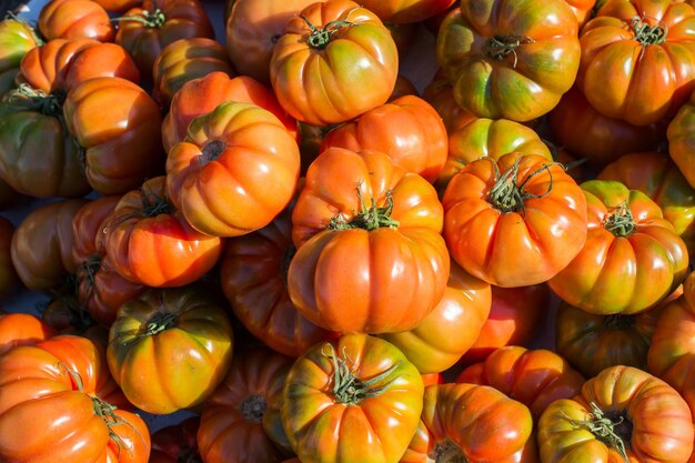 Sabrosos tomates frescos a la vista