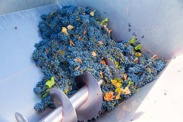 Saca-rolhas triturador destemmer vinificação com uvas