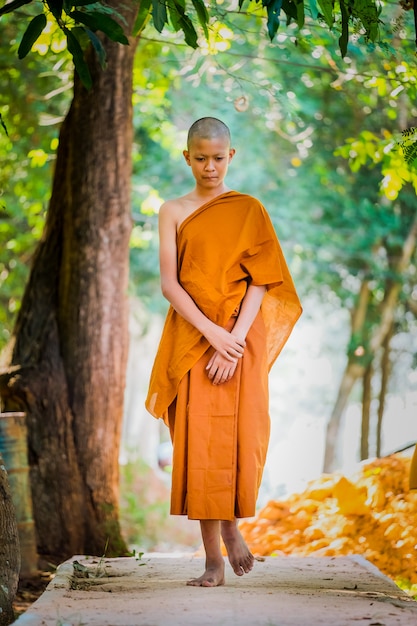 Los sacerdotes budistas practican el caminar, practican la respiración.