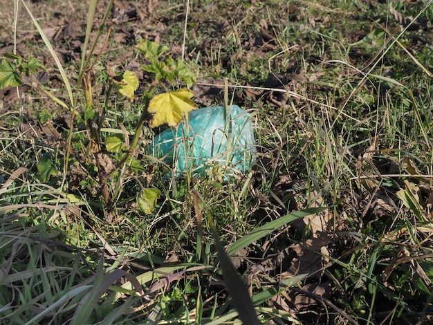 Saco de plástico em meio à grama