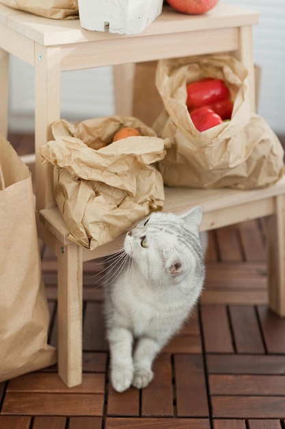 Sacos de entrega de mercado fresco e gato