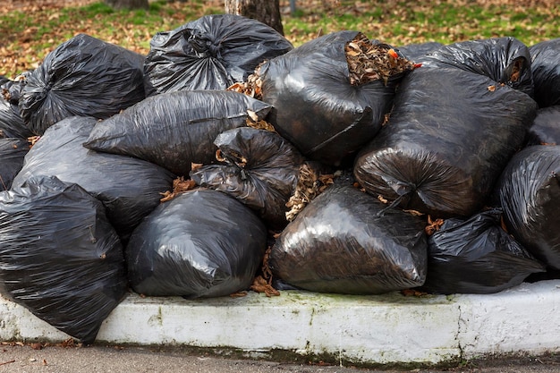 Sacos de lixo pretos com folhas secas de outono caídas no parque. Limpeza sazonal. Fechar-se.