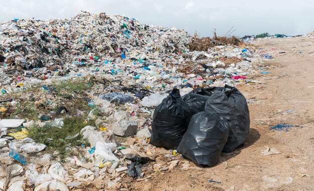 Foto sacos de lixo pretos no aterro municipal